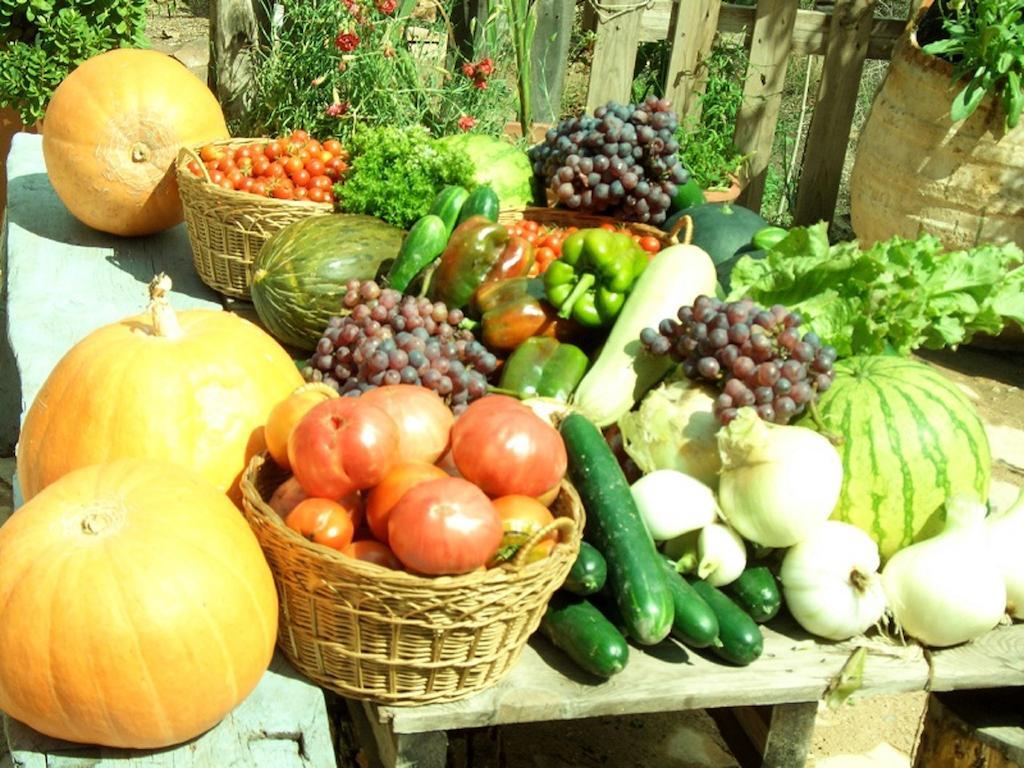 Posada Del Rio Carbo Villahermosa del Rio Ngoại thất bức ảnh